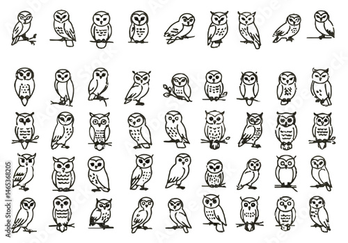 A Collection of Forty-Five Owls Depicted in a Variety of Poses and Angles Displaying their Unique Features with Their Eyes Widely Open and a Variety of Styles Shown	
