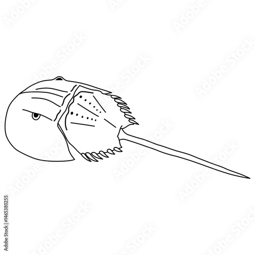 Xiphosurida Fish Sketch Outline Vector Clipart
