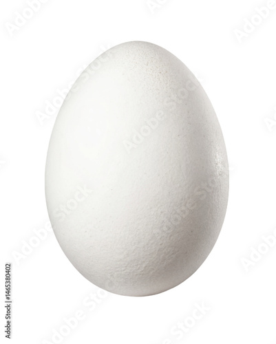 A single white egg centered on a black background with a smooth and clean surface texture visible clearly on transparent background