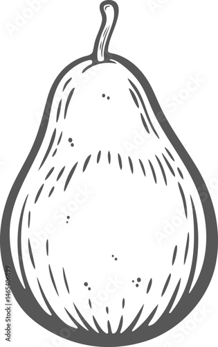 Pear whole vector drawing fruit organic food vegetarian snack engraving hand drawn illustration black white isolated vintage line art sketch silhouette graphic style poster label web