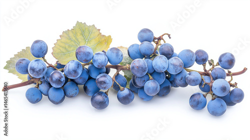 grape cluster with leaves
