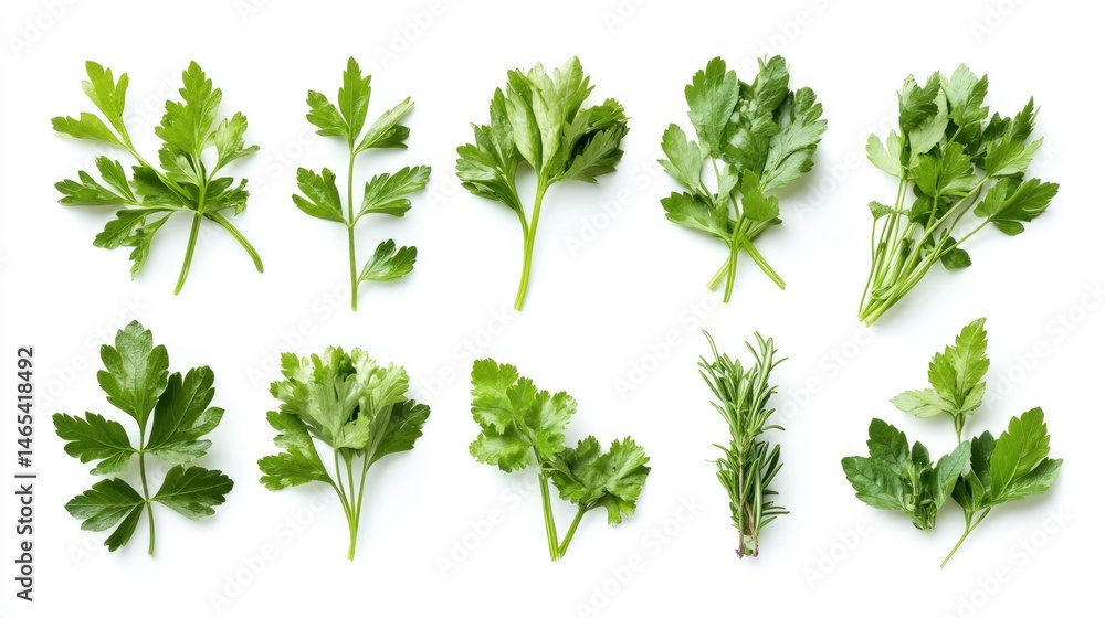 Obraz premium Fresh herbs assortment (1)