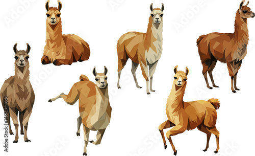 set isolated vector llamas drawn in triangle style, geometric animal illustrations in various poses, south american mammal art on white background