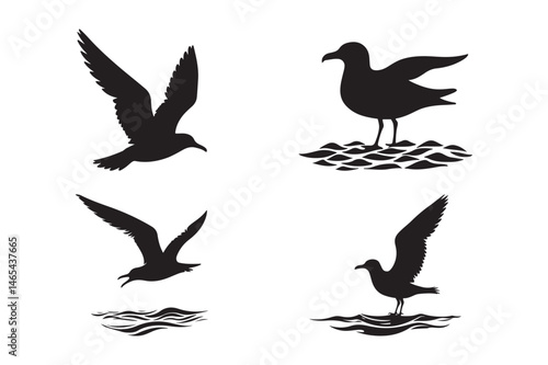 Seagull Bird Silhouette Icons Flying and Standing Birds Over Water Vector Art
