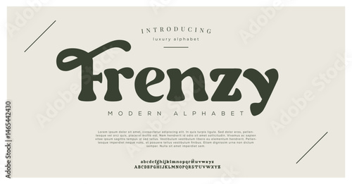 Frenzy Elegant Font. Luxurious Glamour Exclusive Regular Font. Uppercase Lowercase and Number. Minimal Fashion Design