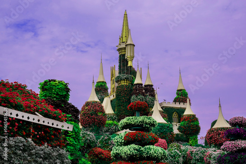 Photo of beautiful flowers in garden Dubai