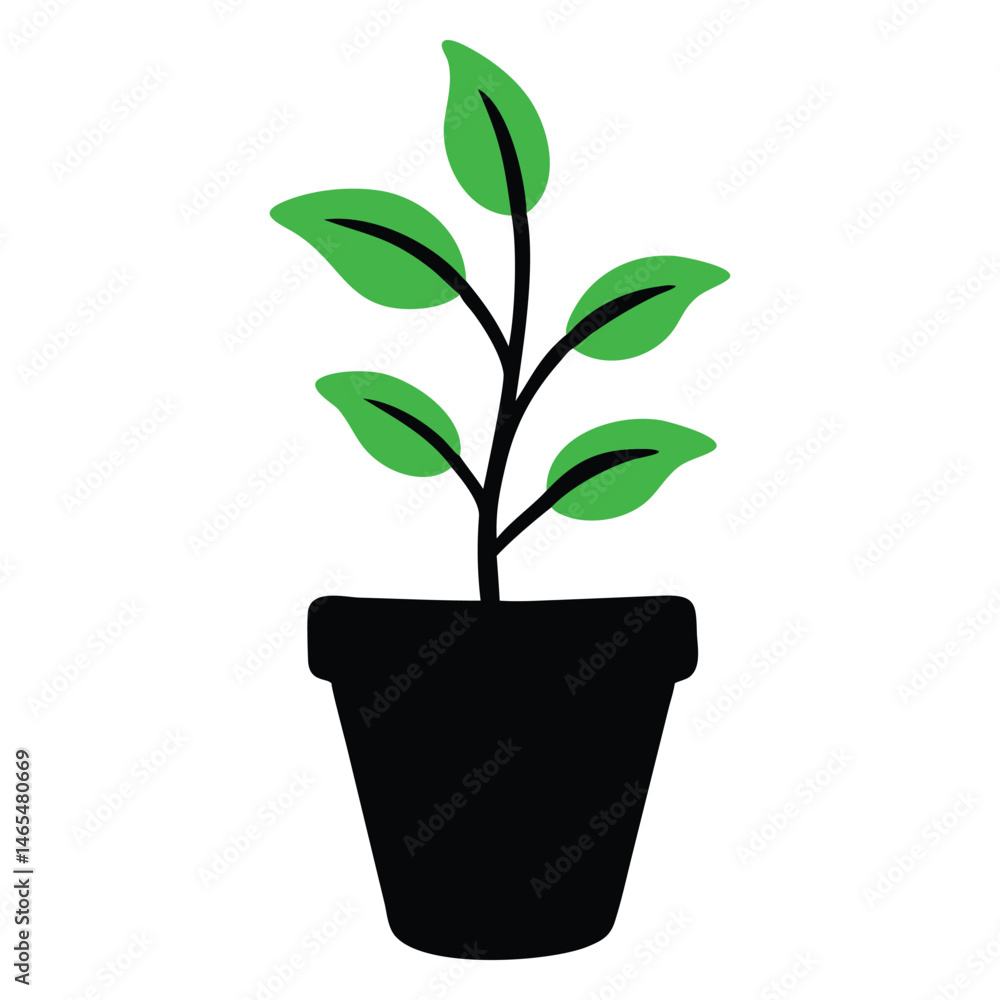 shows a green leafy plant growing in a black container pot shows a green leafy plant growing in a black container pot