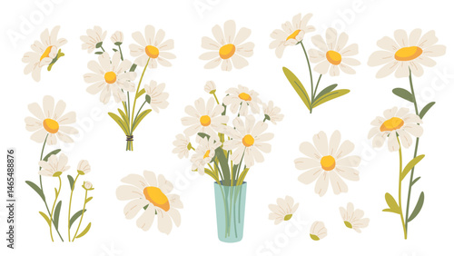 Set of flat daisies. Cute hand drawn chamomiles, spring and summer flowers. Vector botanical elements