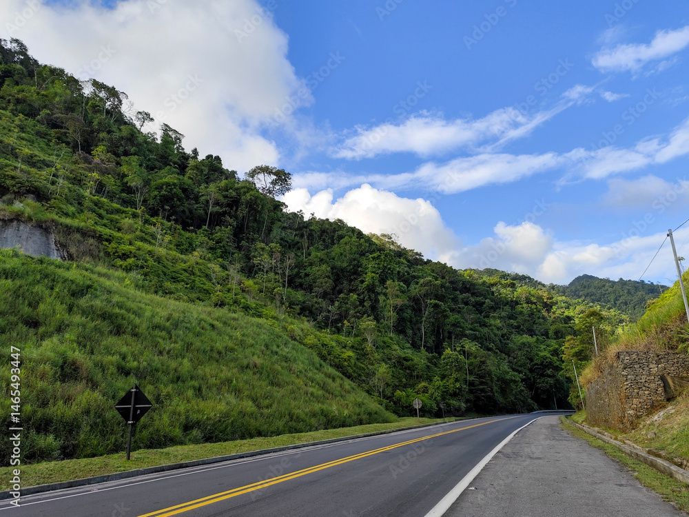 A winding road surrounded by dense rainforest vegetation, with lush green leafy trees, under a clear blue sky with some white clouds. A winding road surrounded by dense rainforest vegetation, with lush green leafy trees, under a clear blue sky with some white clouds.