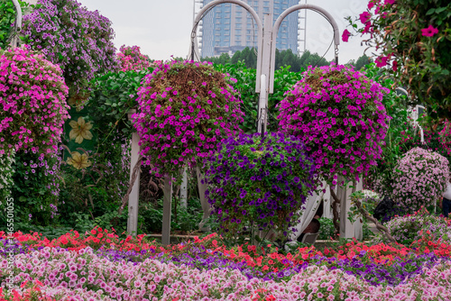 Photo of beautiful flowers in garden Dubai