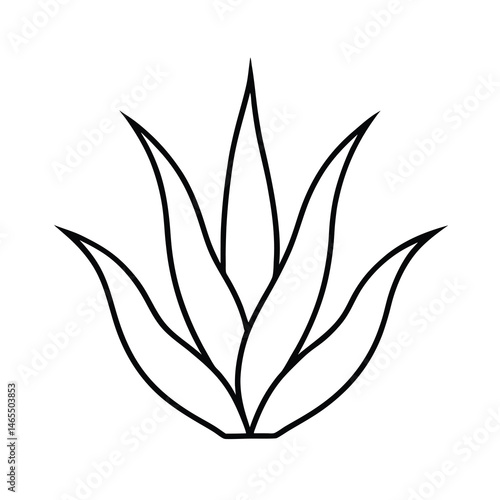 aloe vera green leaf silhouette