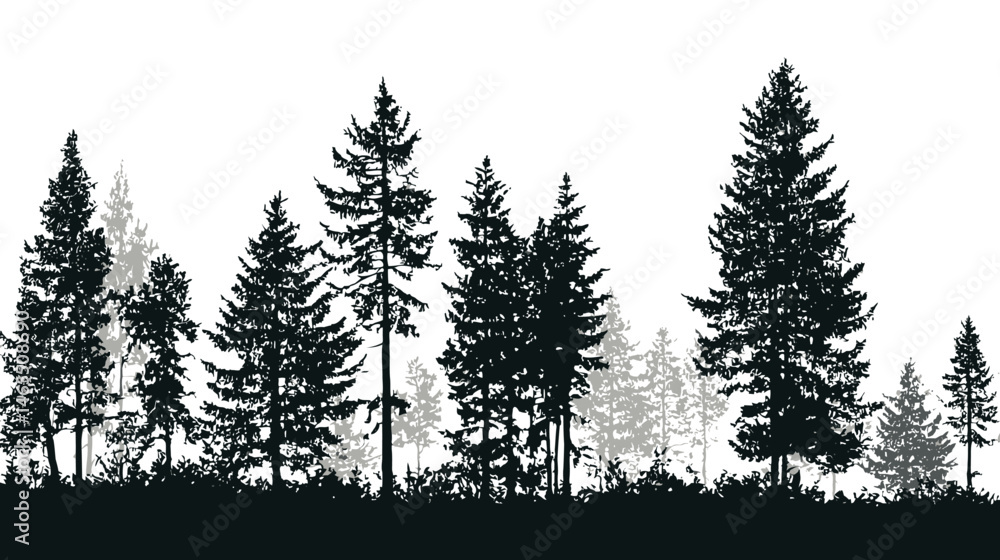 Obraz premium Fir tree forest panorama simple black silhouette vector isolated on white background - 