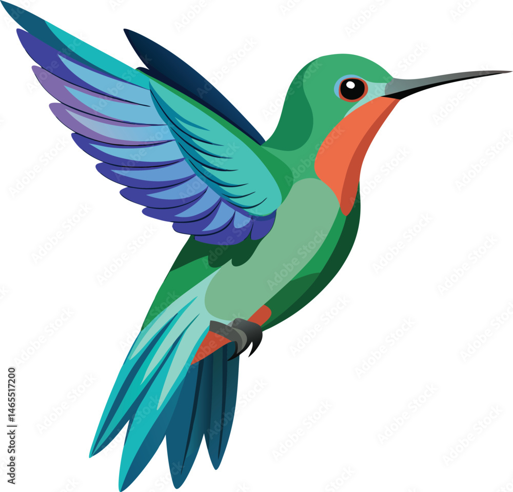 Fototapeta premium Hummingbird