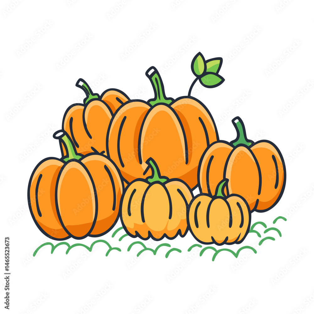 Fototapeta premium Harvest pumpkins illustration vector graphic for thanksgiving halloween and autumn season designs