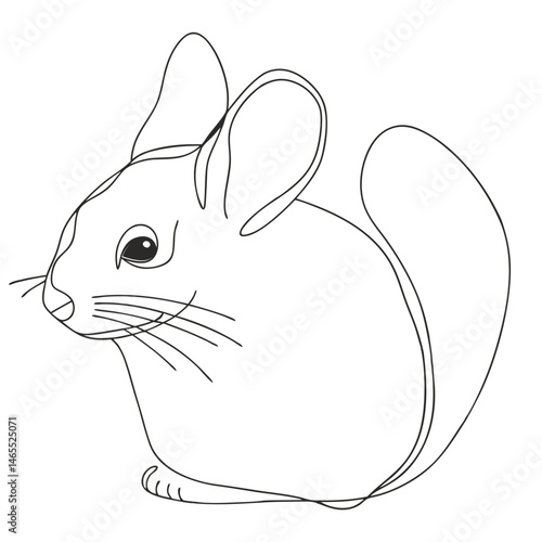 Cute chinchilla. Simple continuous line drawing of a chinchilla - minimalist one-line artwork capturing fluffy creature's charm with expressive eyes and delicate ears.