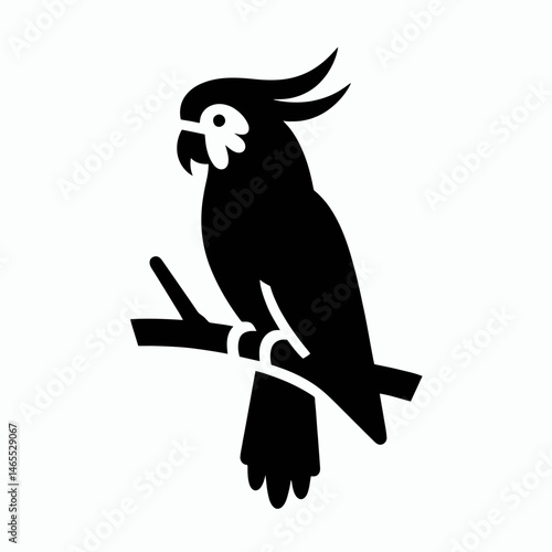  Cockatoo Silhouettes in black on a white background