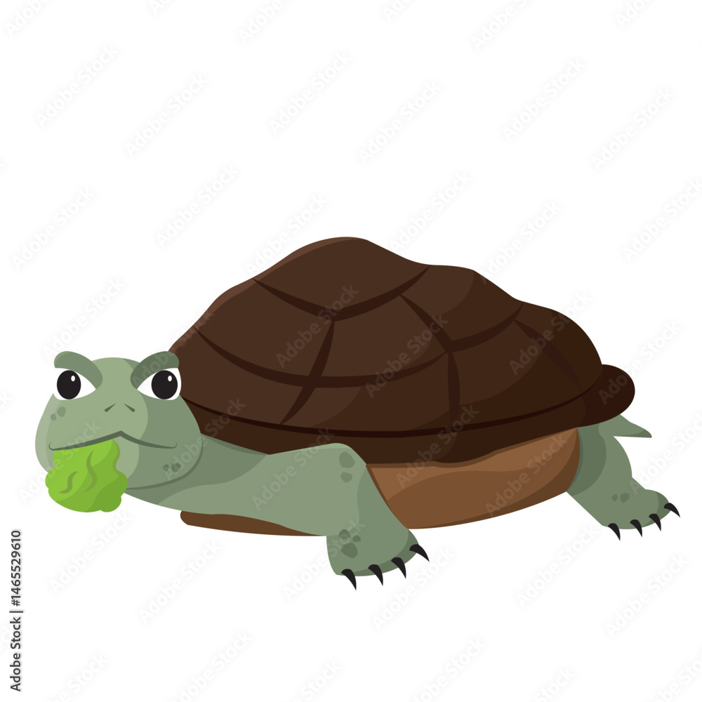 Obraz premium Cute turtle pet. Vector