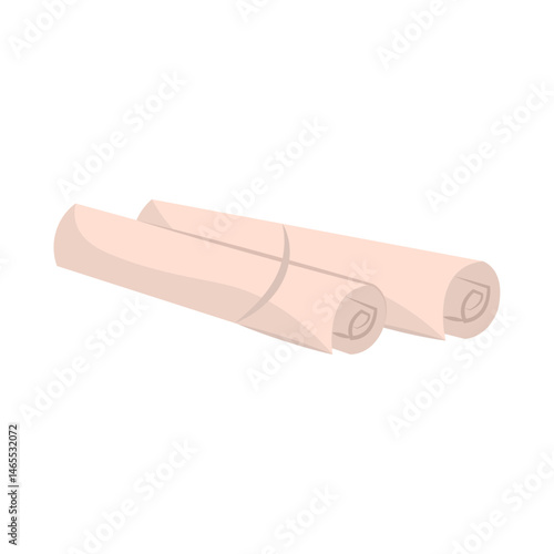 Rolled architecture plans. Vector