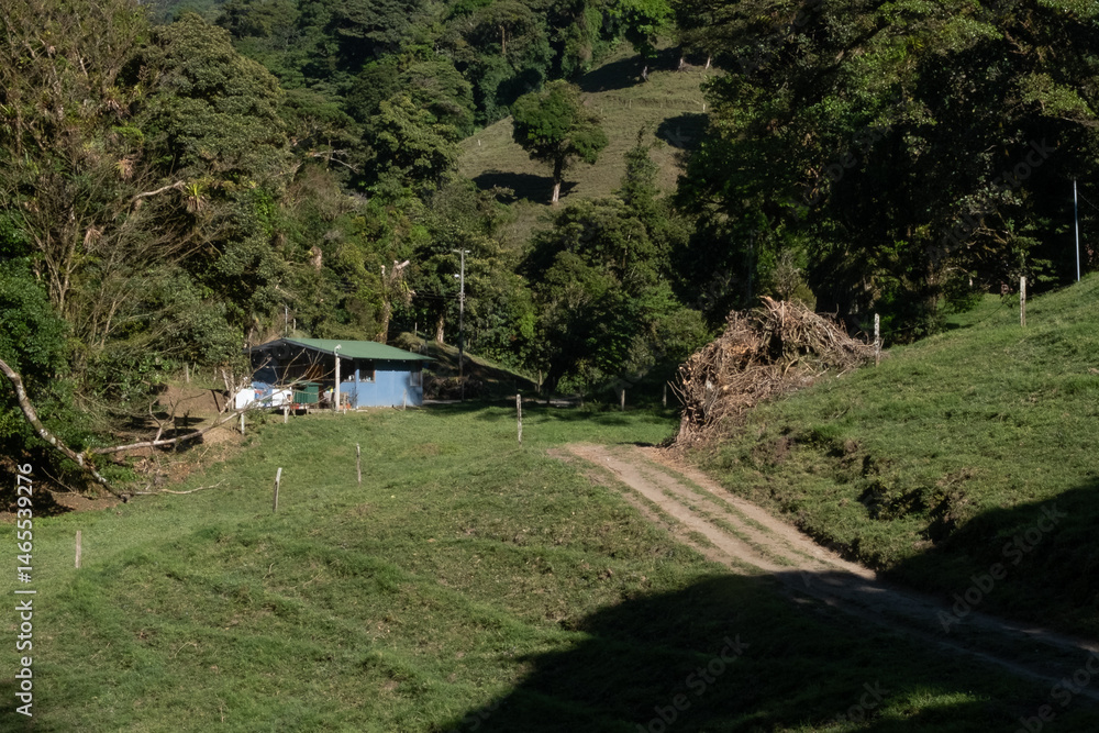 Dirt road leading to farm in green valley hill in costa rica countryside
