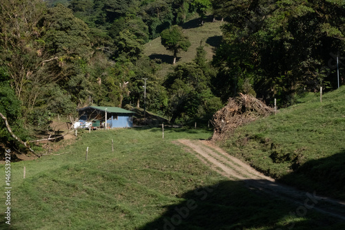 Obraz na płótnie Dirt road leading to farm in green valley hill in costa rica countryside w salonie