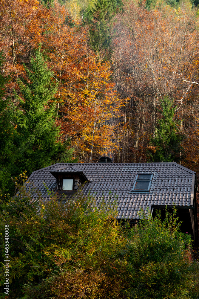 Cozy mountain chalet nestled in vibrant autumn forest