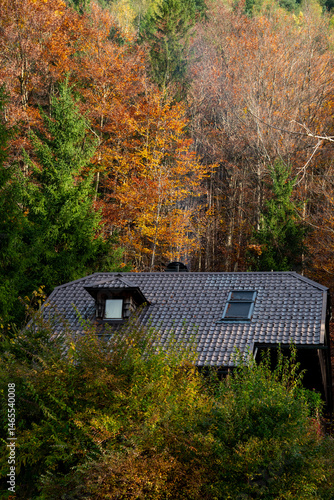 Obraz na płótnie Cozy mountain chalet nestled in vibrant autumn forest w salonie