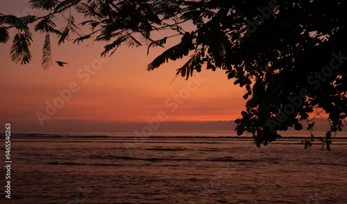 Obraz na płótnie Vibrant sunset over ocean waves with silhouetted foliage along the shore in a tranquil coastal setting w salonie