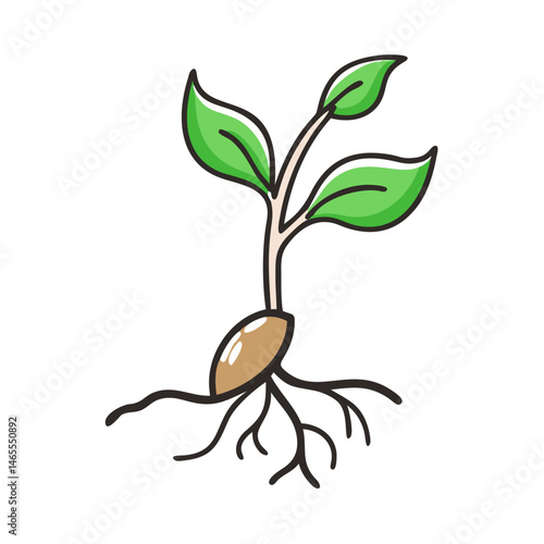 plant sprouting roots icon, plant sprouting roots vector illustration-simple illustration of plant sprouting roots, perfect for plant sprouting roots logos and icons
