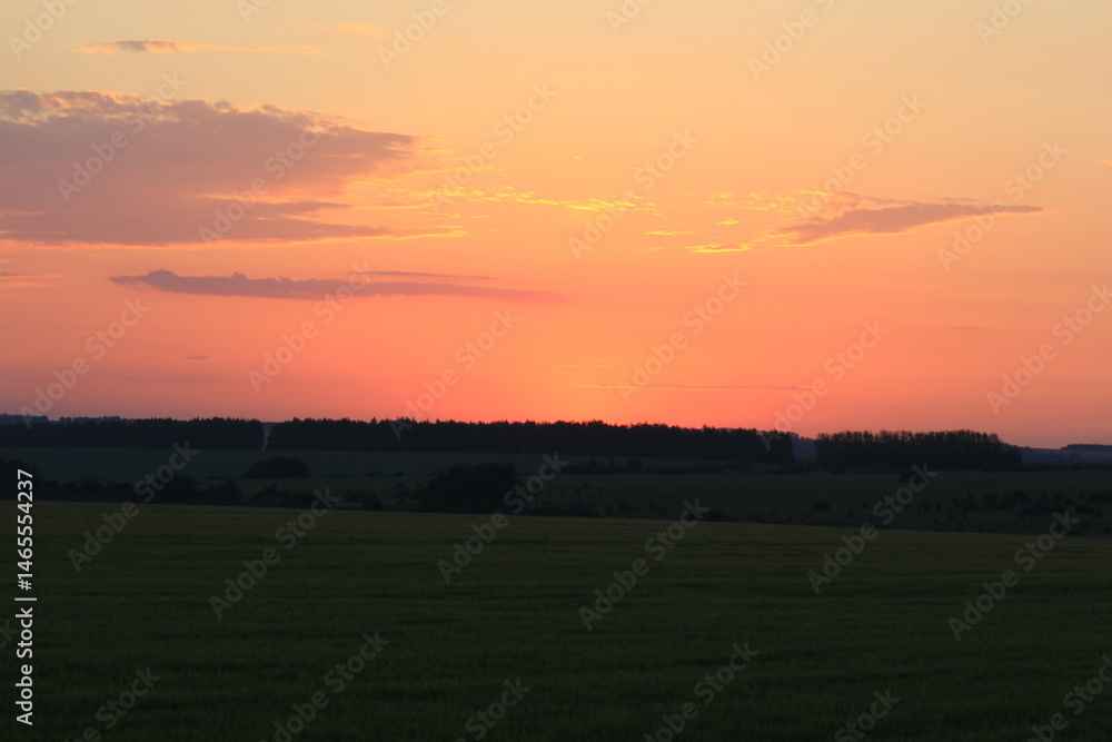 Obraz premium dawn in the fields of southern russia midsummer