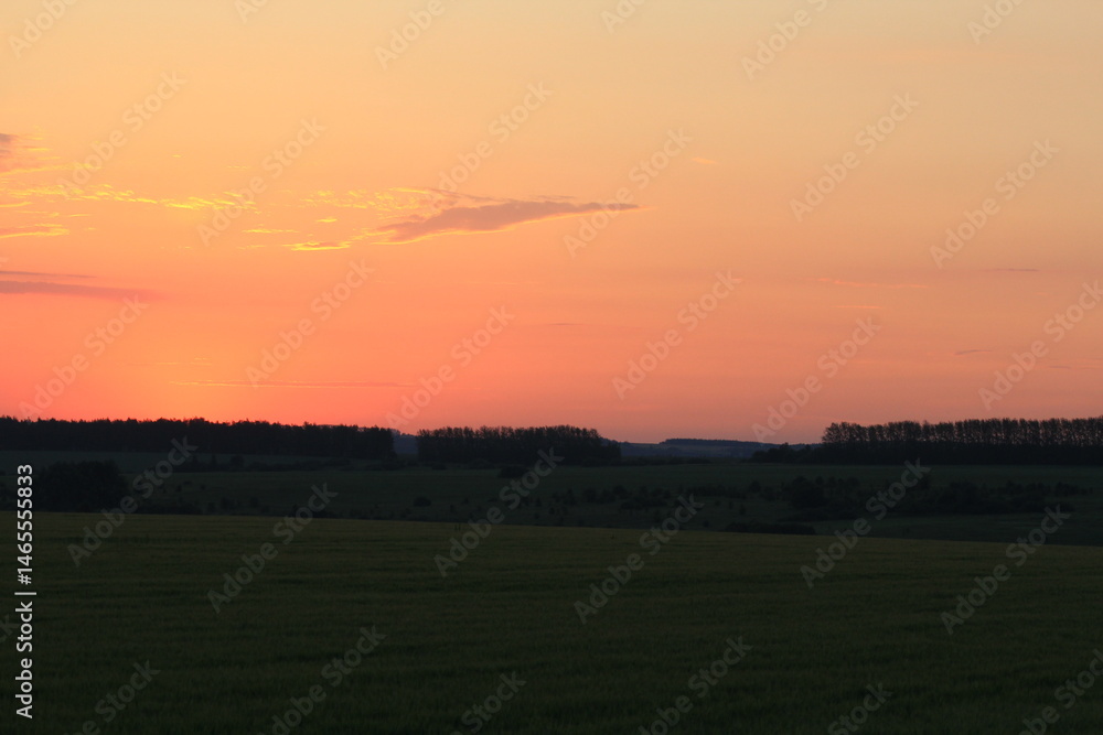 Fototapeta premium dawn in the fields of southern russia midsummer