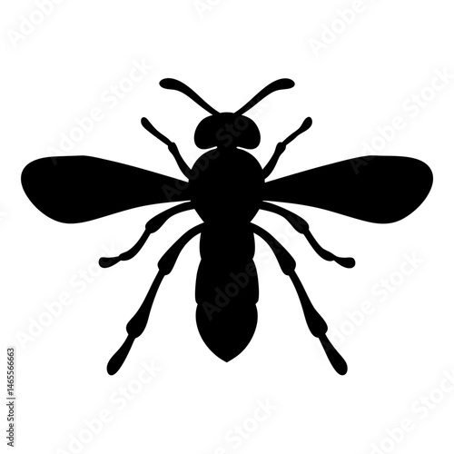 Black silhouette of a wasp on a white background vector illustration