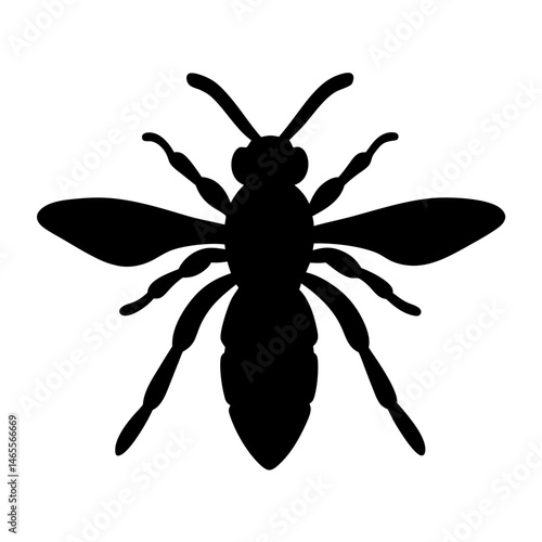Striking silhouette of a wasp, an icon of stinging insects in black