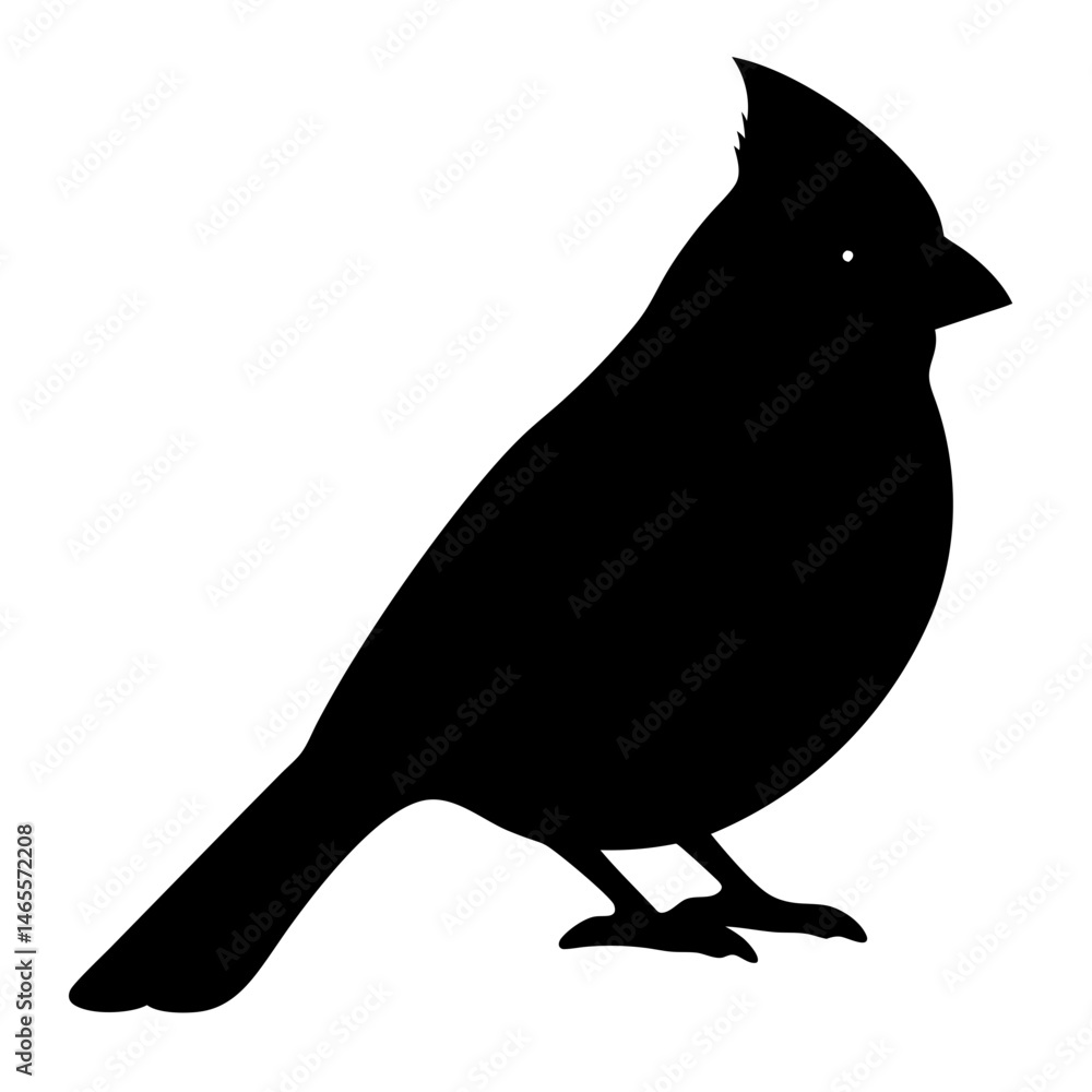 Obraz premium Silhouette of a Cardinal Bird with its Iconic Crest and Long Tail