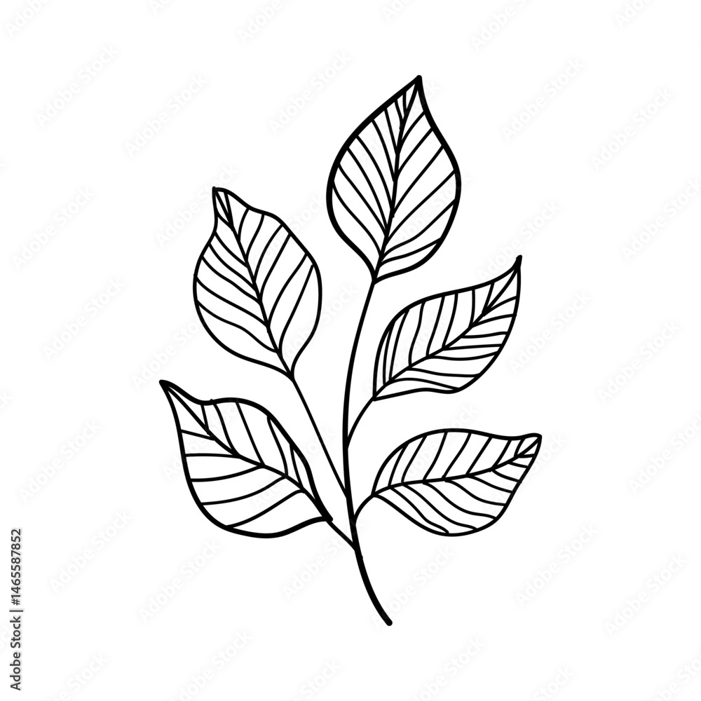 Leafy Stem. Stylized leafy stem in elegant monochrome line art, perfect for clean, modern compositions, packaging, or stationery design. Leafy Stem. Stylized leafy stem in elegant monochrome line art, perfect for clean, modern compositions, packaging, or stationery design.