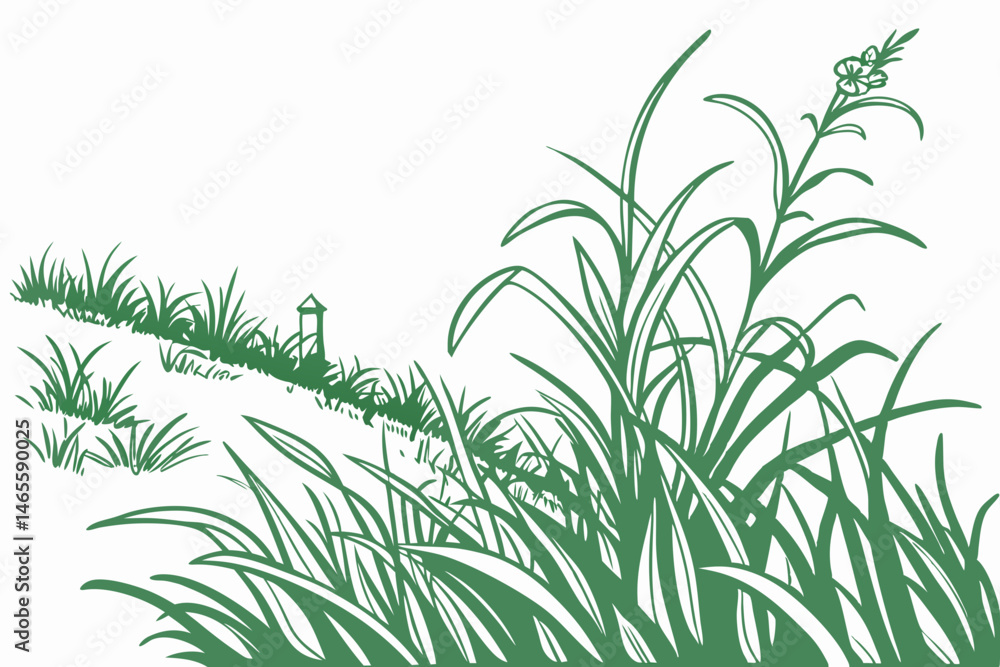 Fototapeta premium green grass background