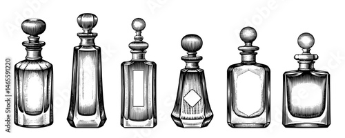 Perfume Bottles Antique Engraving Style Black and White Luxury Fragrance Illustrations
