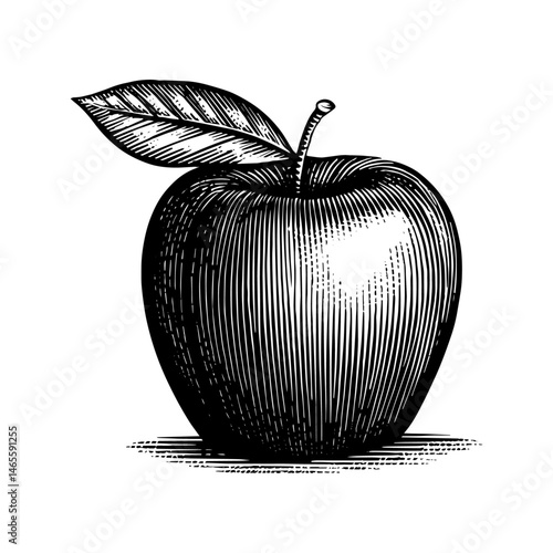 Woodcut Style Apple Illustration with Leaf, Black and White,  Healthy Fruit, Vintage Design