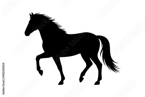 Black horse silhouette equestrian animal design