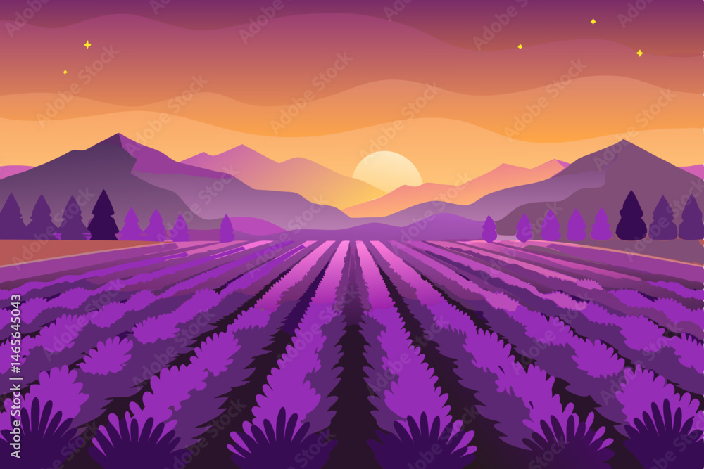 Naklejka premium lavender field at sunset