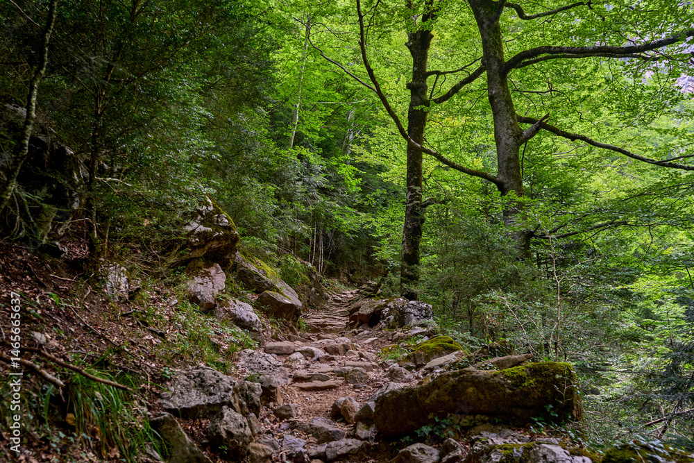 Trail that runs through the Añisclo Canyon, surrounded by forests, mountains, and rivers. An ideal area for hiking and enjoying nature. In Ordesa National Park, Aragon, Spain. Trail that runs through the Añisclo Canyon, surrounded by forests, mountains, and rivers. An ideal area for hiking and enjoying nature. In Ordesa National Park, Aragon, Spain.
