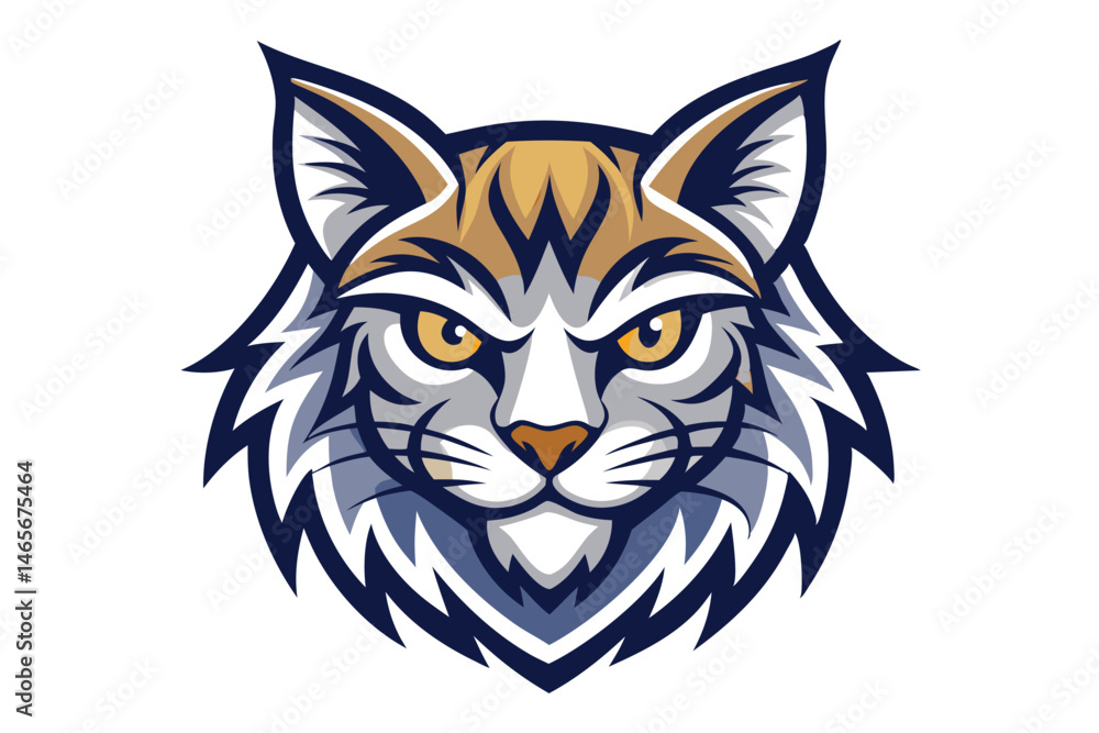 Fototapeta premium Detailed bobcat face shows golden eyes and blue shading on the white background