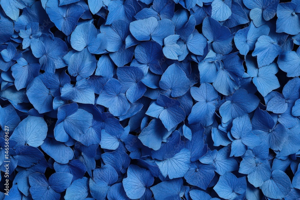 Close-up view of many vibrant blue flower petals. Close-up view of many vibrant blue flower petals.