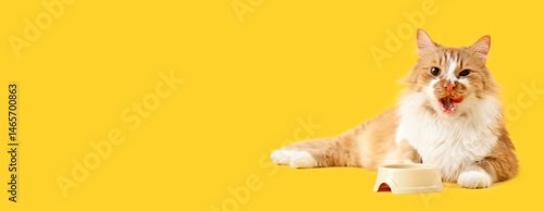 Cute cat lying near bowl of...