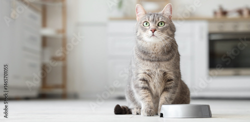 Foto Adorable cat near bowl with food in kitchen