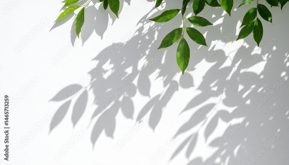 Lush Green Leaves and Shadows on a White Wall Nature Photography Lush Green Leaves and Shadows on a White Wall Nature Photography
