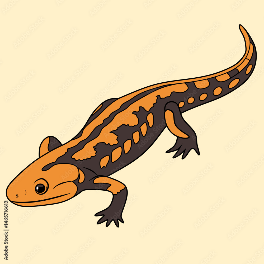 Naklejka premium Vivid, colored illustration of a salamander with striking patterns. Ideal for educational resources, nature-themed designs, and digital artwork.