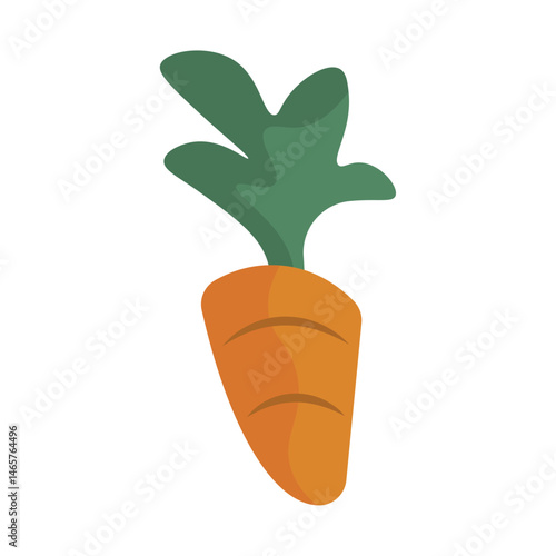 Fresh carrot with leaves. Vector