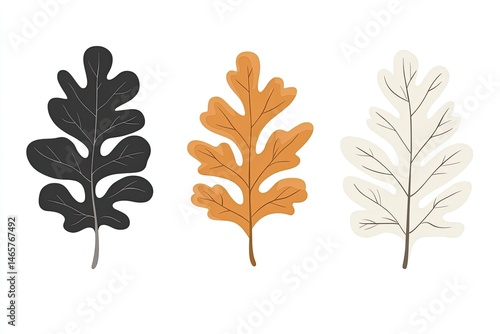 Three stylized oak leaves in black, brown, and white