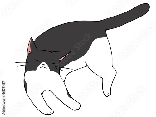 ハチワレ ねこ リラックス