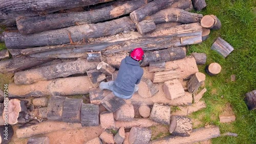 Lumberjack with a chainsaw cutting trees in the forest. Preparing firewood for winter. Top down view. Aerial view from drone

